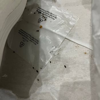 Aldığım Ayakkabının İçinden Hayvan Dışkısı Çıktı, Sağlığımız Tehlikede