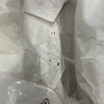 Aldığım Ayakkabının İçinden Hayvan Dışkısı Çıktı, Sağlığımız Tehlikede