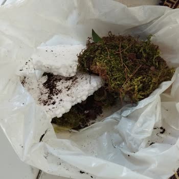 Gönderilen Çiçek Kusurlu, Para İadesi Yapılmadı