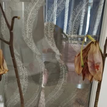 Gönderilen Çiçek Kusurlu, Para İadesi Yapılmadı