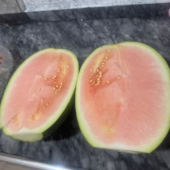 Aldığım Karpuz Kabak Çıktı, İade Alınmadı