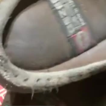 Gezer Terlik Mağduriyeti
