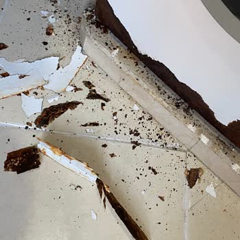 Bosch Çamaşır Makinesi Kısa Sürede Çürüdü, Müşteri Hizmetleri Çözüm Sunmuyor