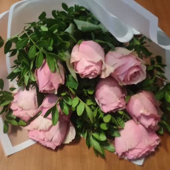 Solmuş Çiçekler, Çözümsüz Bekleyiş Ve Büyük Hayal Kırıklığı