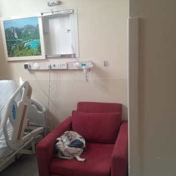 Özel Oda Hayal Kırıklığı: Hizmet Ve Koşullar Fiyaskosu