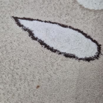 Yıkanmamış Halıların Teslimi Ve Ücret İadesi Sorunu