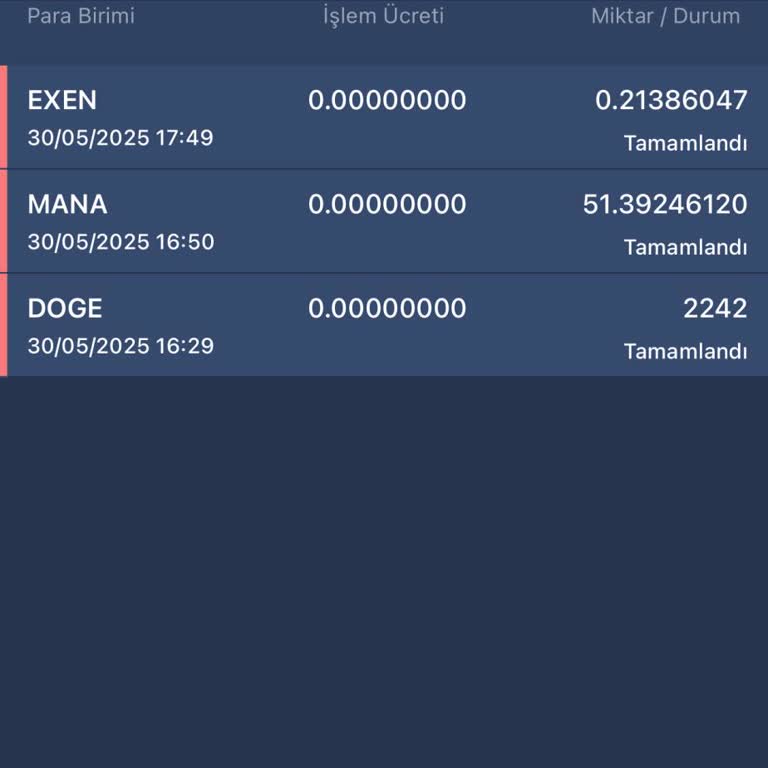 Bitexen Hesabımdan İzinsiz Transfer Sonrası Tüm Bakiyem Kayboldu