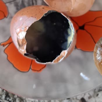 Migros Sanal Marketten Bozuk Yumurta Ve İade Sorunu