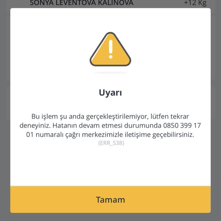 Bagaj Ekleme Hatası Ve Müşteri Hizmetlerine Ulaşamama Sorunu