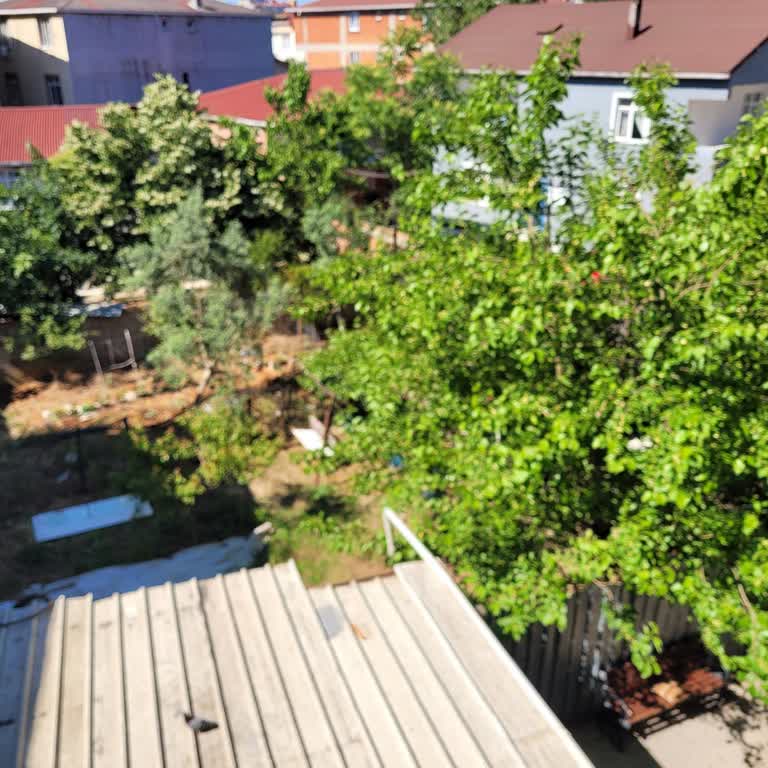 Samsung Galaxy S20 FE Dokunmatik Ve Kamera Sorunu Hayal Kırıklığı