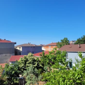 Samsung Galaxy S20 FE Dokunmatik Ve Kamera Sorunu Hayal Kırıklığı