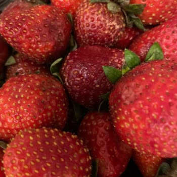 Aldığım Çilek Paketi Çürük Çıktı, Müşteri Yanıltılıyor!