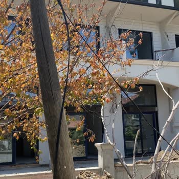 Türk Telekom'un 3 Yıldır Çözülemeyen İnternet Altyapı Sorunu Ve Mağduriyet