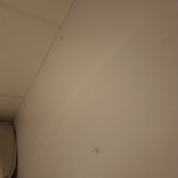 Karadeniz Lojistik Nakliye Bu işi Yapamıyor