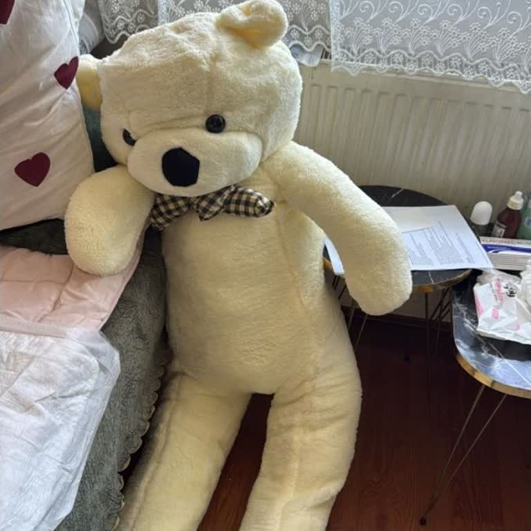 Siparişimde Gönderilen Ürünle Görsel Arasındaki Büyük Fark Hayal Kırıklığı Yarattı