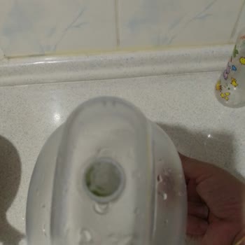 Brita Sürahide Temizlenemeyen Yosun Sorunu Hayal Kırıklığı Yarattı