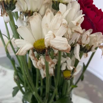 Çiçek Sepeti Sipariş Edilen Çiçeğin Kalitesizliği Ve Memnuniyetsizlik