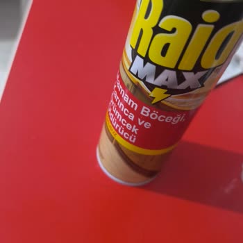 Raid Böcek İlacının Faydası Yok