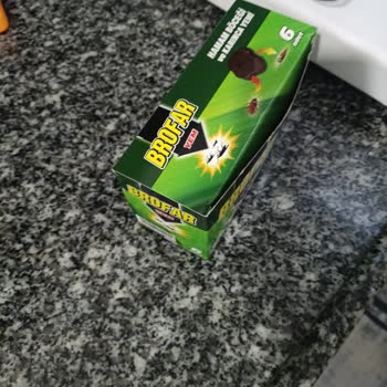 Raid Böcek İlacının Faydası Yok