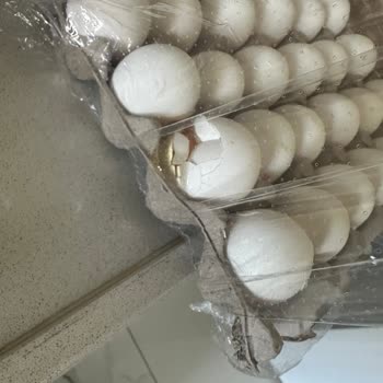 Kırık Yumurtalar Ve Yetersiz Müşteri Hizmeti