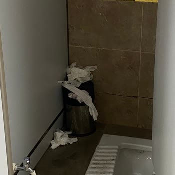 Hem Köpeğimle Giremedim Hem De Sağlıksız Ortamda Mağdur Edildim