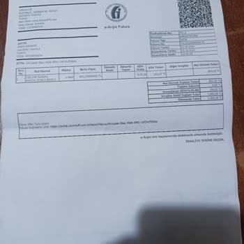 Martı Tag İle Yaşadığım Ceza Ve Ödeme Sorunları