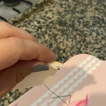 Paketli Salamda Böcek Çıkması Ve Güven Sorunu
