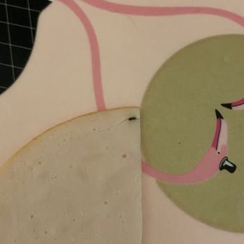 Paketli Salamda Böcek Çıkması Ve Güven Sorunu