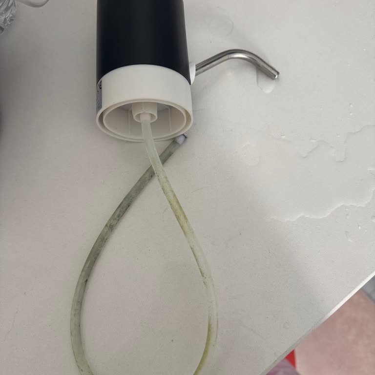 Kalabak Su Damacanasında Yosunlaşma Ve Sağlıksız Görünüm Endişesi