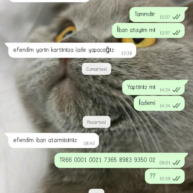 Sipariş Teslim Edilmedi, İade Süreci Oyalandı Ve Yanıtsız Kaldı