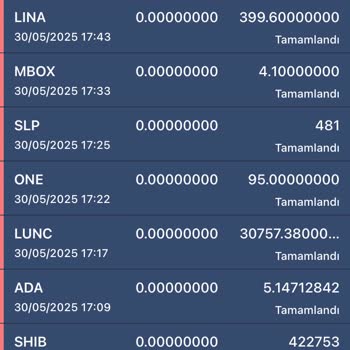 Bitexen Hesabımdaki Coinlerim İzinsiz Şekilde Sıfırlandı