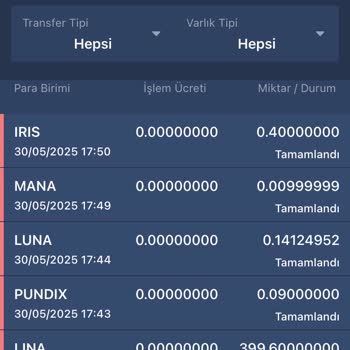 Bitexen Hesabımdaki Coinlerim İzinsiz Şekilde Sıfırlandı