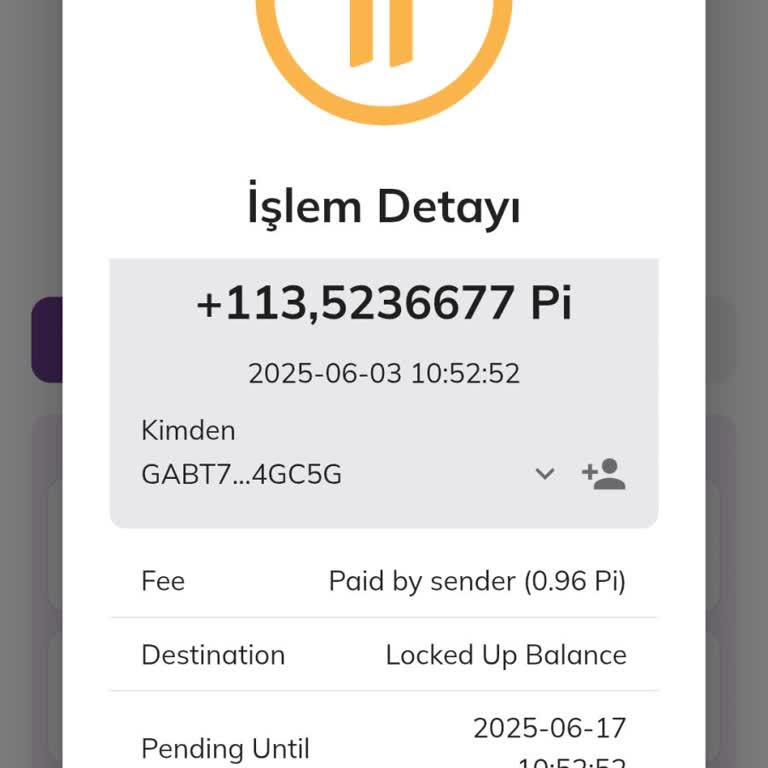 Pi Network Hesabımdaki Pi Coinler İzinsiz Aktarıldı Mı?