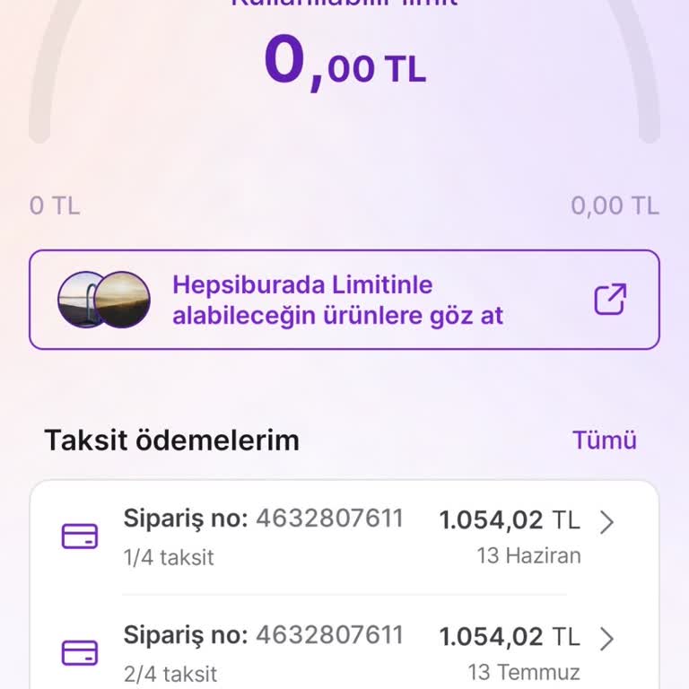 Bir Günlük Gecikmede Limitin Sıfırlanması Mağduriyetim