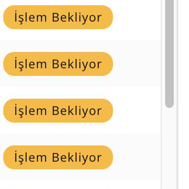 Mükellef (mukellef.co) ve Regulus Denetim'den Eksik Ve Sorumsuz Hizmet