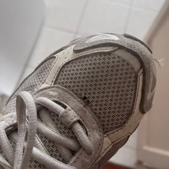 Adidas Ayakkabıda Kısa Sürede Yırtılma Ve İade Sürecinde İletişimsizlik