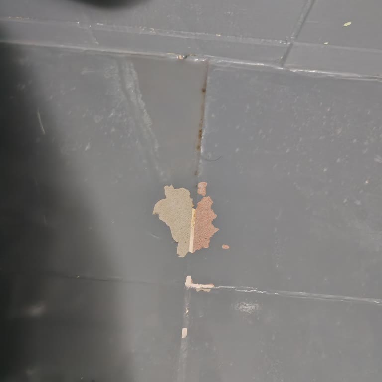 Boya Ve Vernik Uygulamasına Rağmen Banyoda Kısa Sürede Soyulma Sorunu