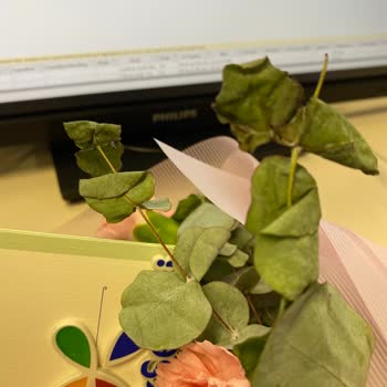 Çiçek Sepeti'nden Beklentinin Altında Ve Solgun Çiçek Teslimatı