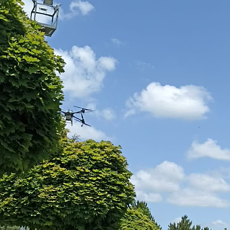 Parkta İnsanların Üzerine İlaçlama Dronu İlaç Sıktı