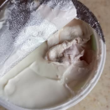 Krem Peynirin İçinden Küf Çıktı Hayal Kırıklığı Yaşadım