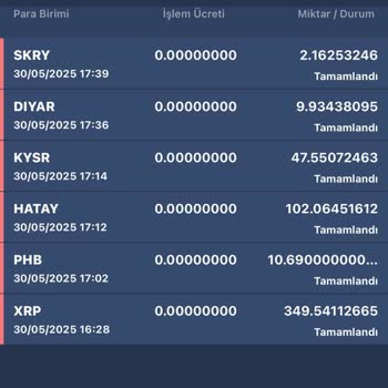 Bitexen Hesabımdan Bilgim Dışında Coin Çekildi Destek Yanıt Vermiyor