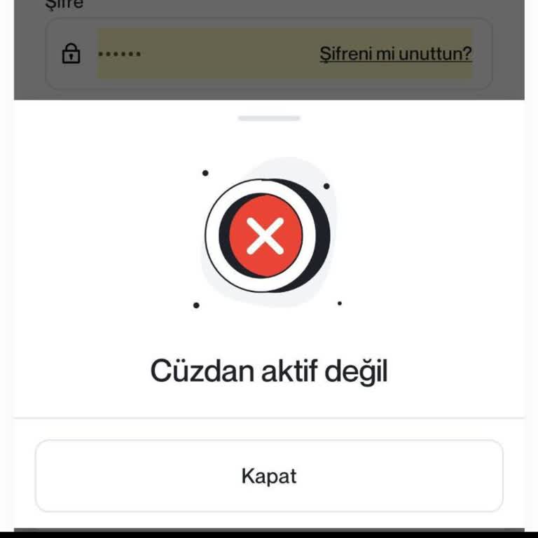 Papel Hesap Kapatılması Ve Müşteri Hizmetlerinden Yanıt Alınamaması