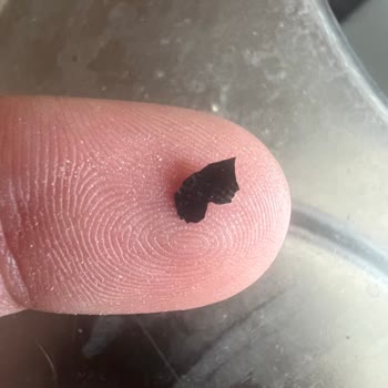 Protein Tozu Ve BCAA Ürünlerinde Sağlıksız Plastik Parçalar!