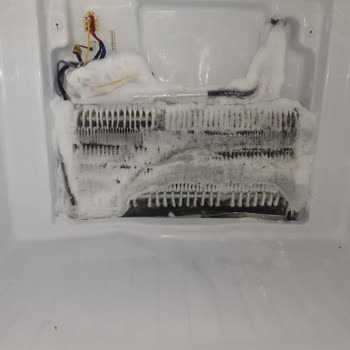 Buzdolabımın Arızası Sonrası Yeni Ürün Teslim Edilmedi, Mağdur Oldum