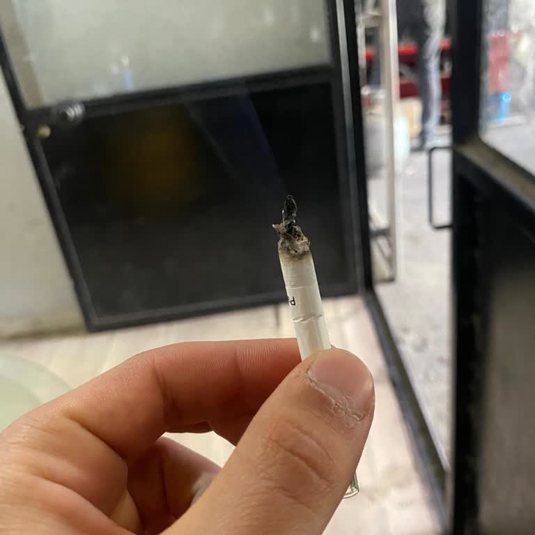 Sigarada Tütün Dışında Yabancı Maddeler Çıkıyor