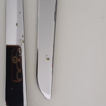 Yeni Alınan Vestel Bulaşık Makinesi Sürekli Arızalı, Çözüm Yok!