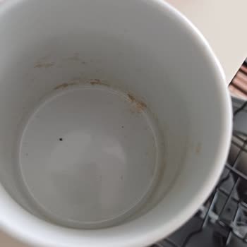 Yeni Alınan Vestel Bulaşık Makinesi Sürekli Arızalı, Çözüm Yok!