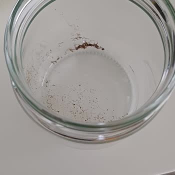 Yeni Alınan Vestel Bulaşık Makinesi Sürekli Arızalı, Çözüm Yok!