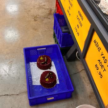 Ürünlerin Hijyenine Dikkat Edilmiyor, Güven Sorunu Yaşıyorum