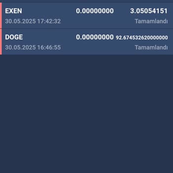 Bitexen'de Kaybolan Coinlerime Ulaşamıyorum!